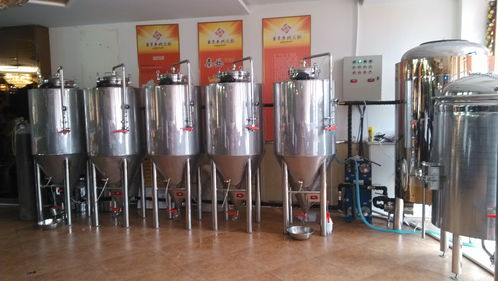 自釀設(shè)備現(xiàn)場安裝定做釀酒設(shè)備